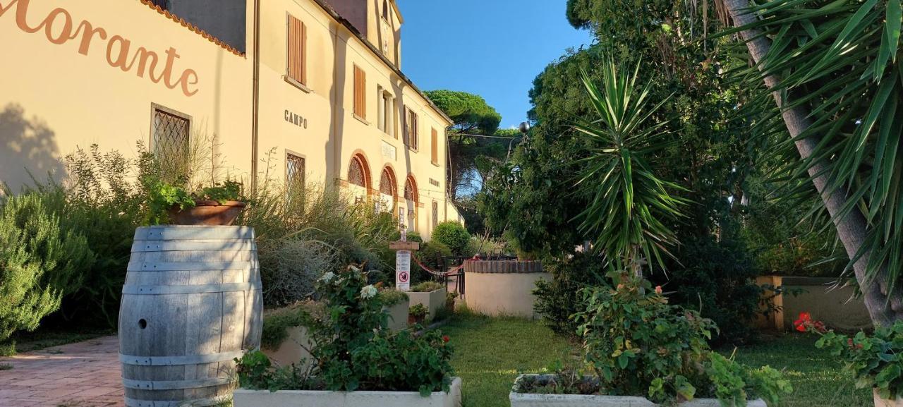 Locanda Menabuoi Donoratico Exterior foto